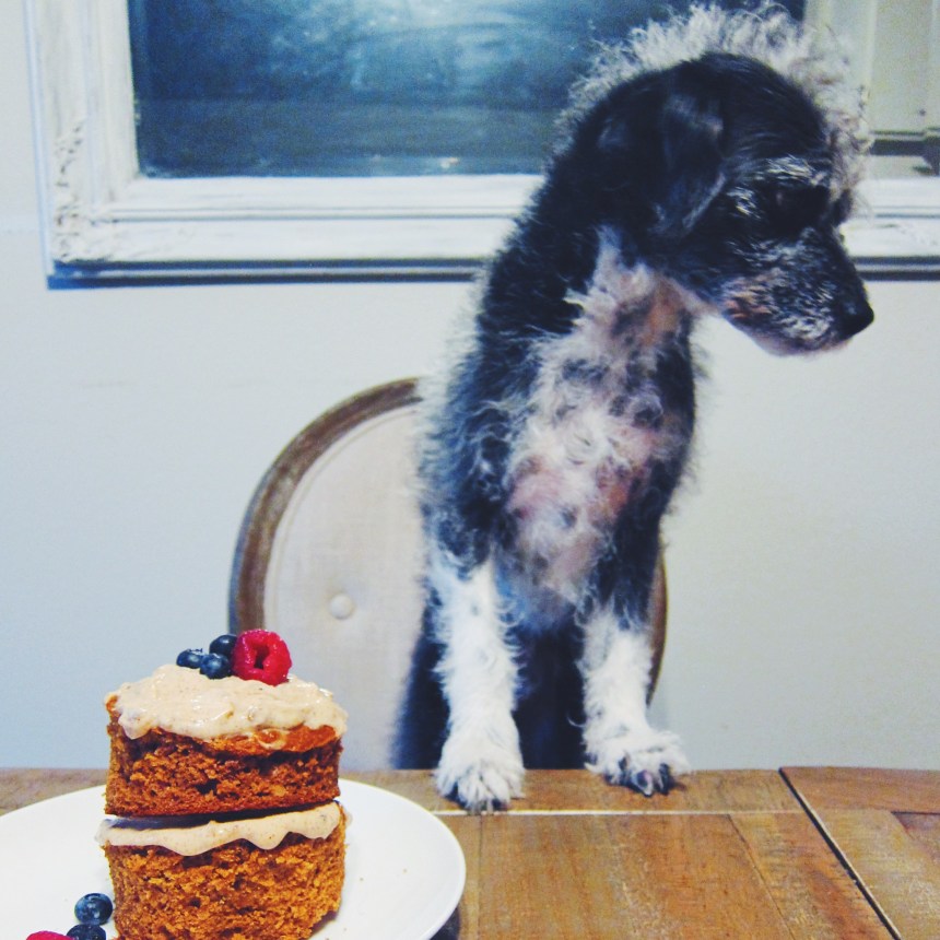 peanut butter dog birthday cake