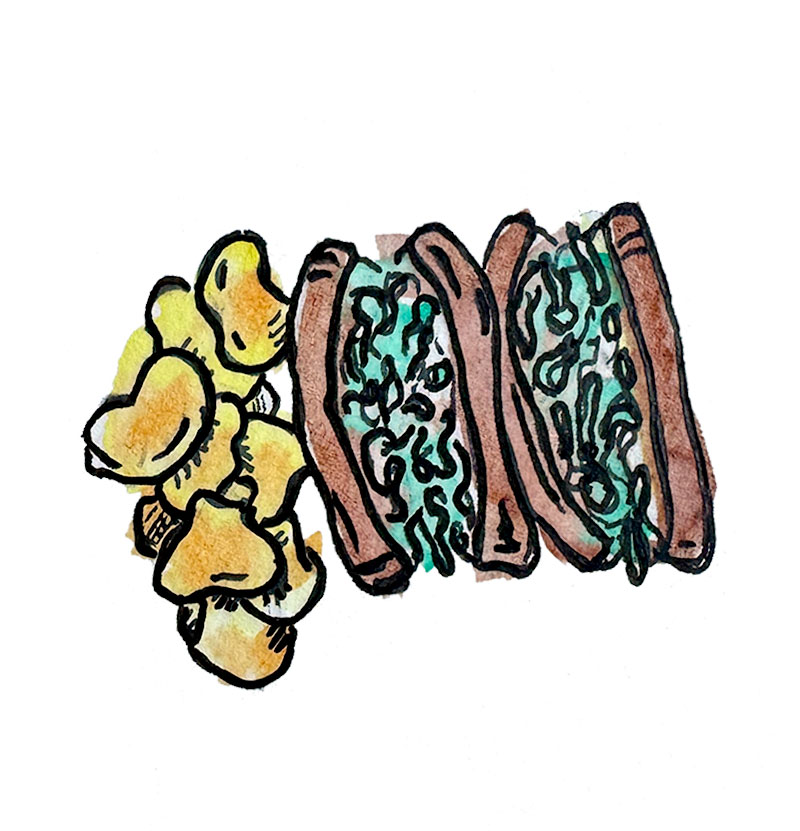 watercolor drawing of crab roll sandwiches